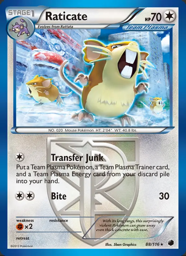 Image of the card Raticate