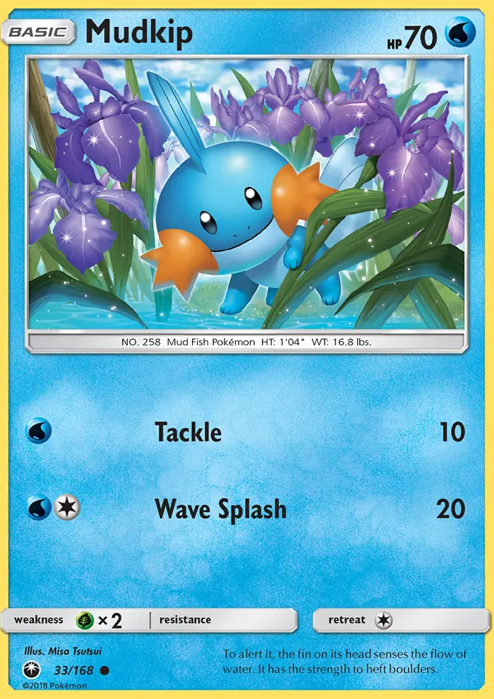 Image of the card Mudkip