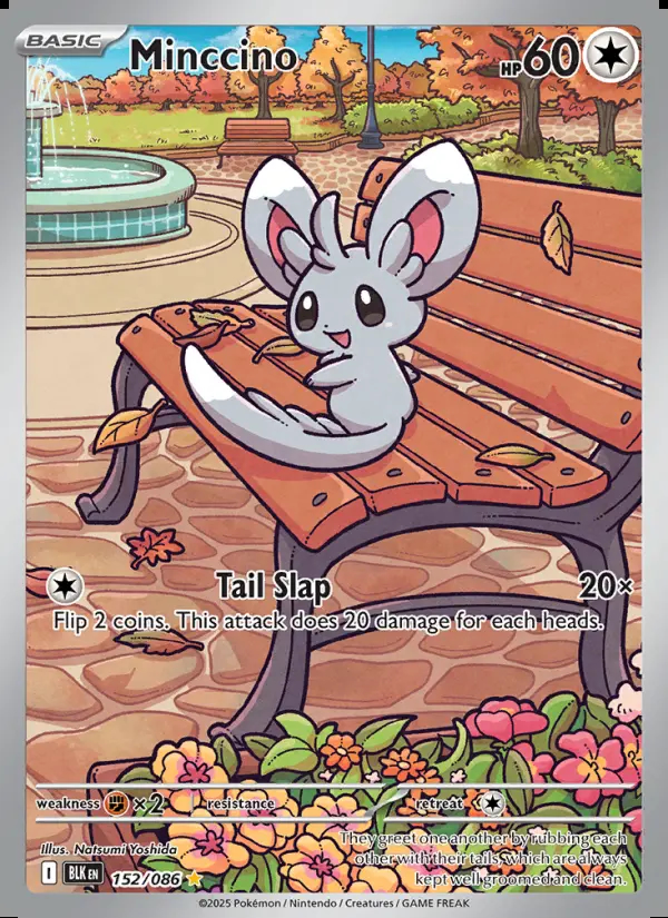 Image of the card Minccino