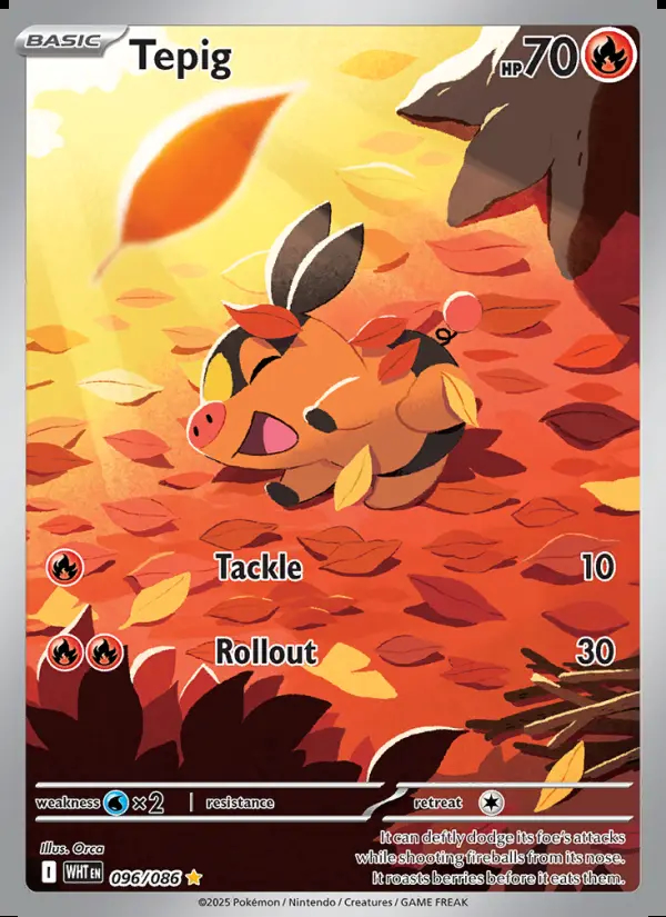 Image of the card Tepig